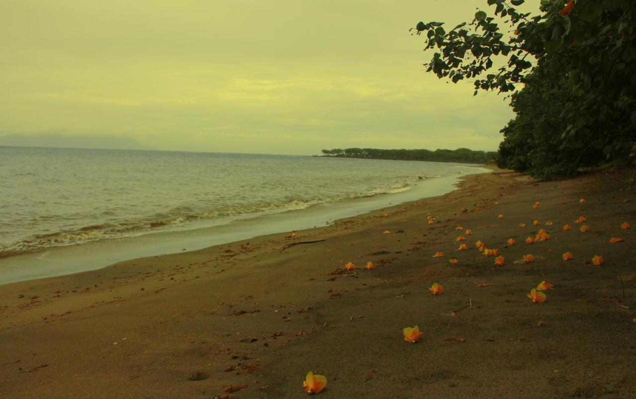 Fx72 Beach Resort Maumere Zewnętrze zdjęcie
